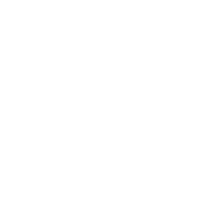 apem-logo